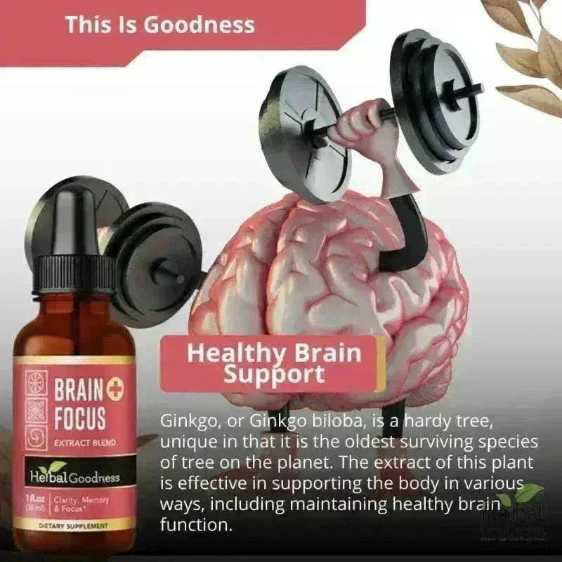 Brain and Focus - Organic 1oz 15X Liquid Extract - Cognition & Memory Liquid Extract Herbal Goodness 