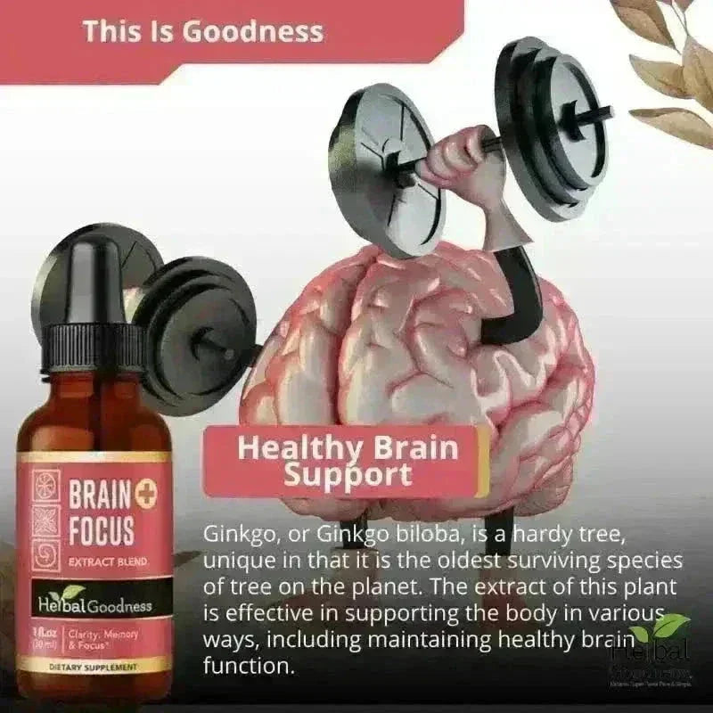 Brain &amp; Focus Plus | 15X Liquid Extract for Memory &amp; Cognitive Wellness Support Liquid Extract Herbal Goodness 