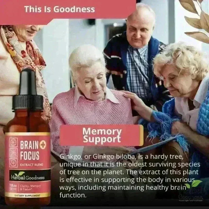 Brain & Focus Plus | Organic 15X Liquid Extract for Memory & Cognitive Wellness Support Liquid Extract Herbal Goodness 