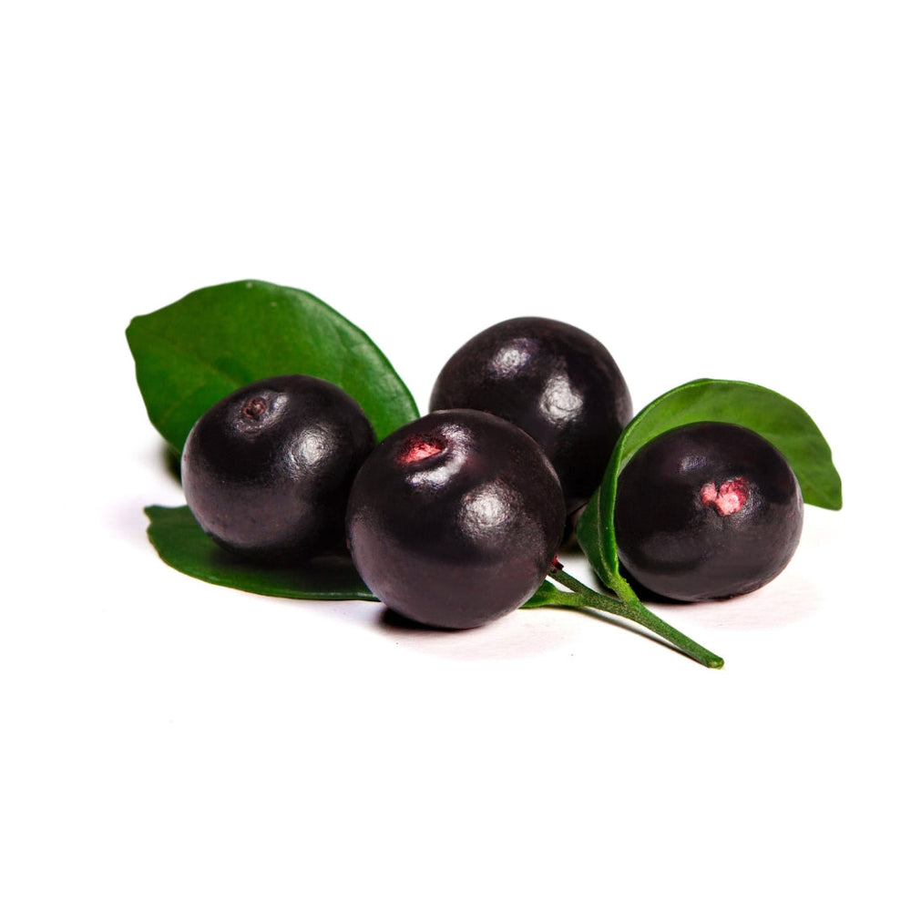 Dark purple Acai Berries with green leaves in Bulk Berries 8oz Herbal Goodness