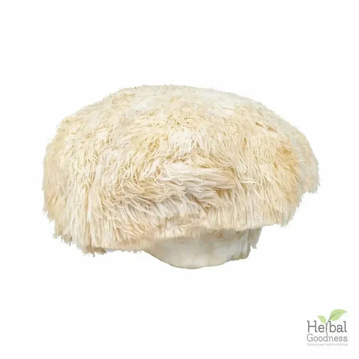 Bulk Herbs & Roots - 4oz Organic bulk teas for digestion, energy, detox Bulk Herb Herbal Goodness 