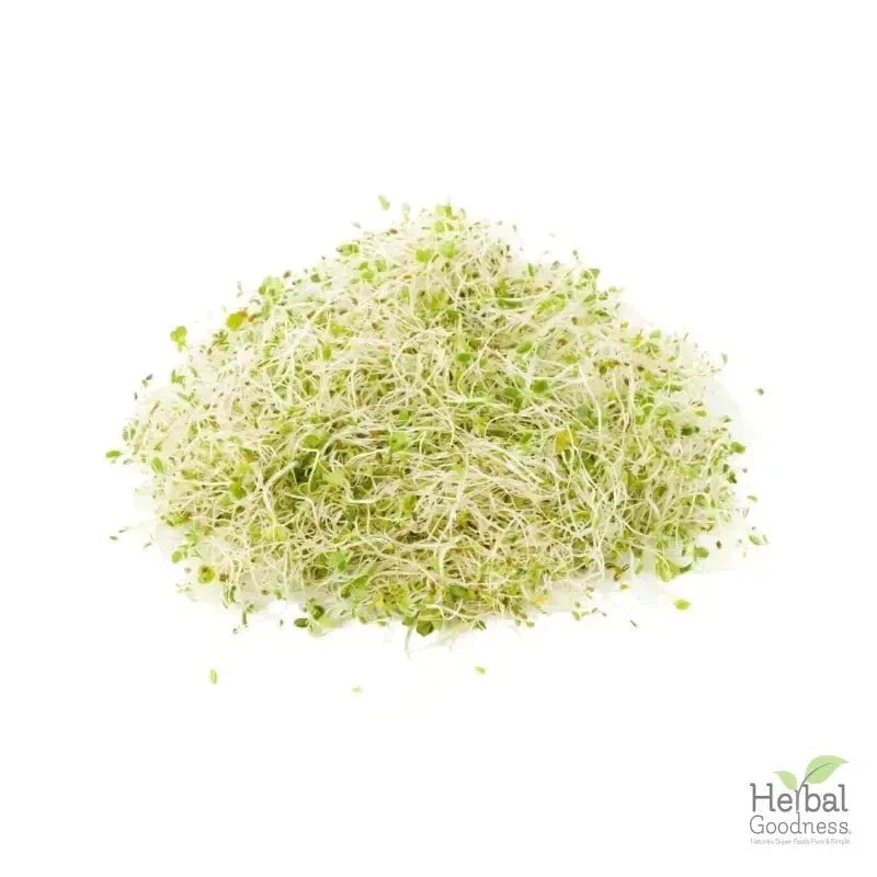 Bulk Herbs & Roots - 4oz Organic bulk teas for digestion, energy, detox Bulk Herb Herbal Goodness Alfalfa Leaf 