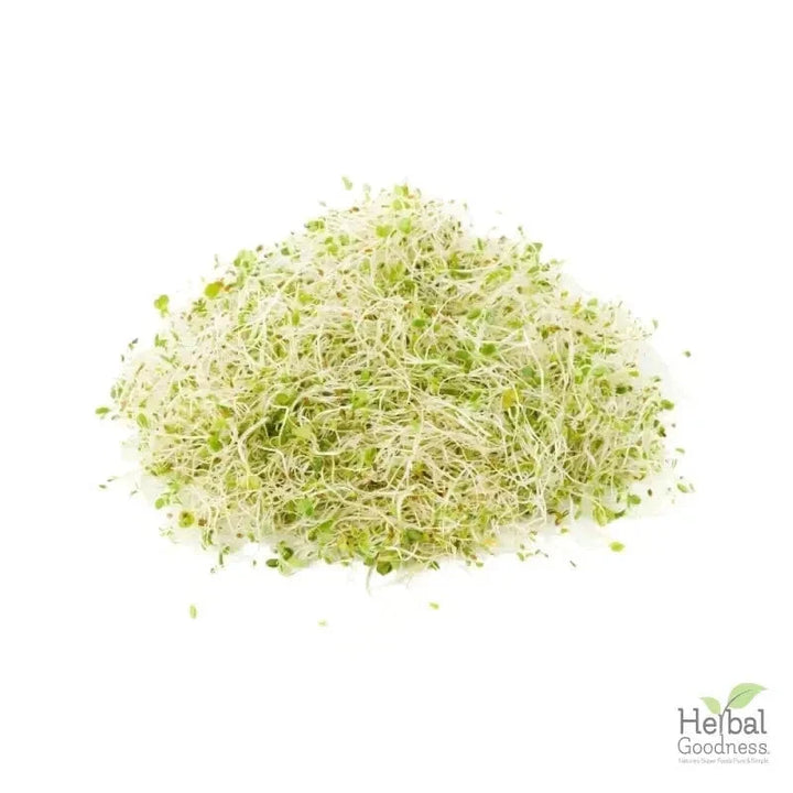 Bulk Herbs & Roots - 4oz Organic bulk teas for digestion, energy, detox Bulk Herb Herbal Goodness Alfalfa Leaf 