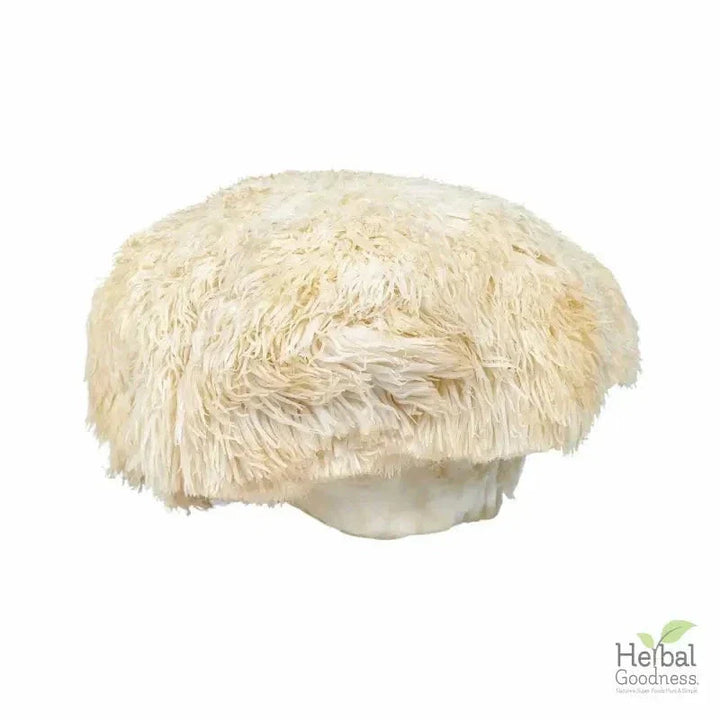 Bulk Herbs & Roots - 4oz Organic bulk teas for digestion, energy, detox Bulk Herb Herbal Goodness 