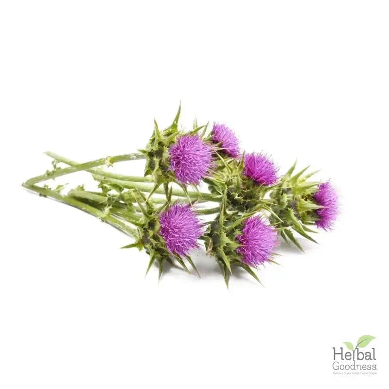 Bulk Herbs & Roots - 4oz Organic bulk teas for digestion, energy, detox Bulk Herb Herbal Goodness Milk Thistle 