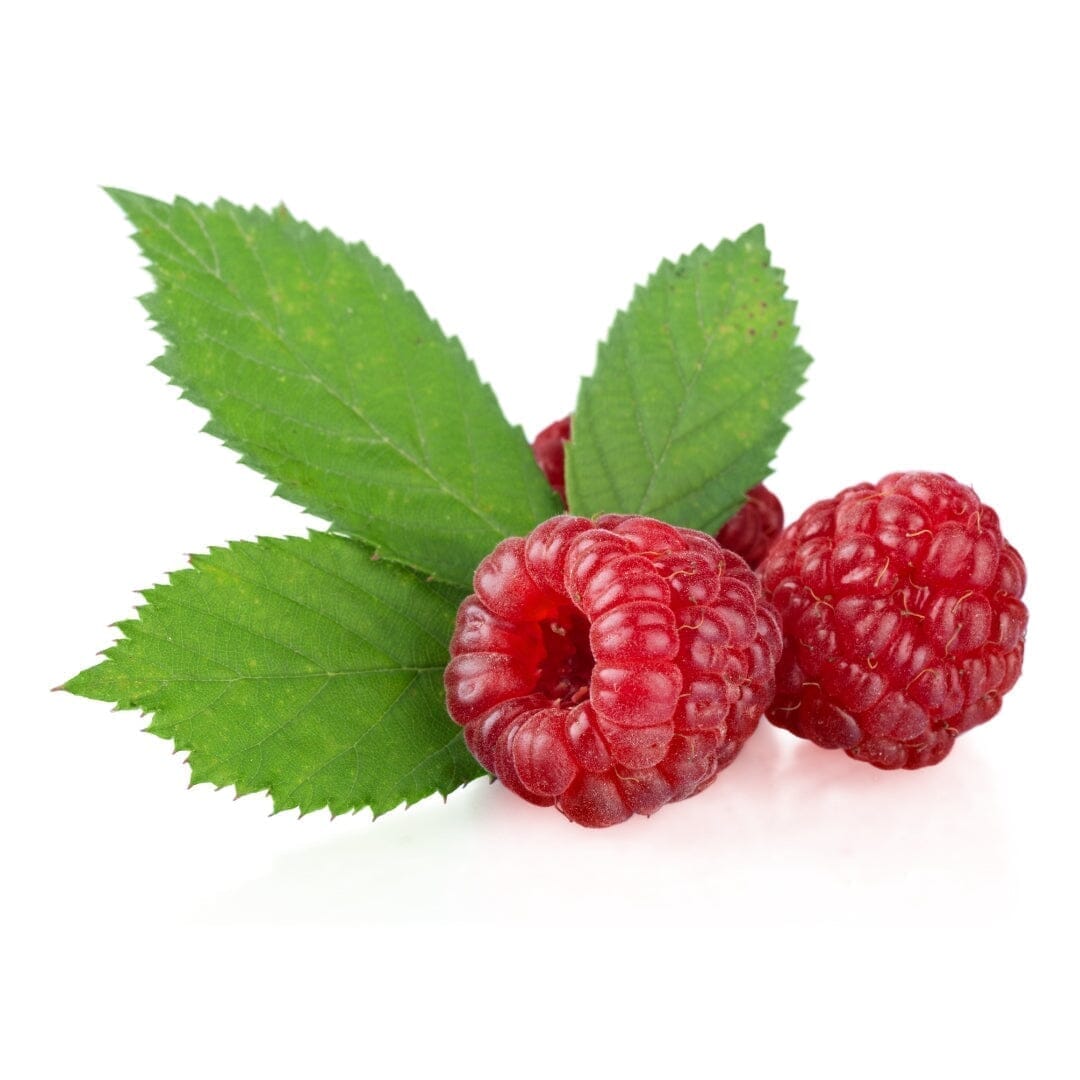 Bulk Herbs & Roots - 4 oz - Premium Quality Nutrient Dense Dried Herbs Bulk Herb Herbal Goodness Red Raspberry Leaf 