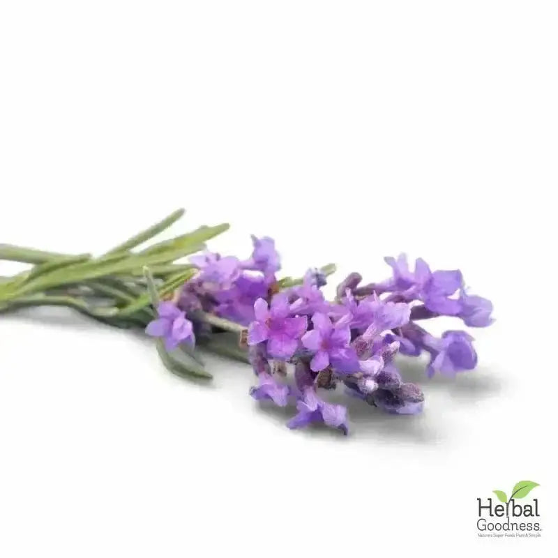 Bulk Herbs &amp; Roots - Organic 4oz Bags - Herbal Tea Bulk Herb Herbal Goodness Lavender Flower 