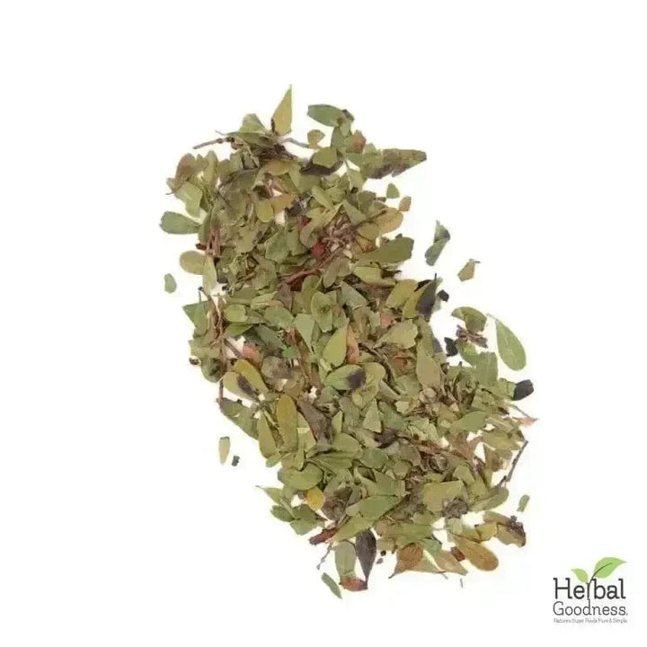 Bulk Herbs & Roots Online for Tea, Tinctures & DIY Wellness - Organic 4oz Bags Bulk Herb Herbal Goodness Olive Leaf 