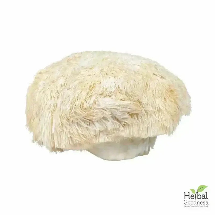 Bulk Herbs &amp; Roots - Organic 4oz Bags - Herbal Tea Bulk Herb Herbal Goodness 