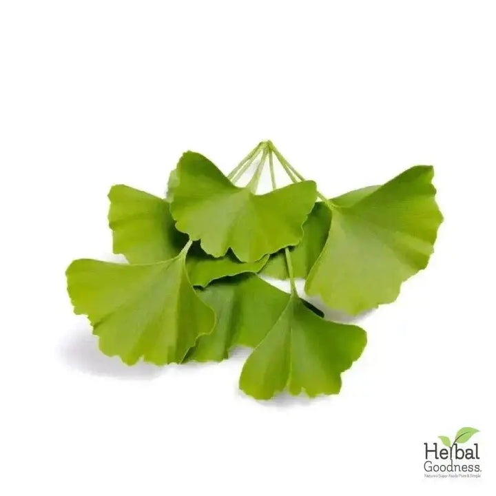 Bulk Herbs &amp; Roots - Organic 4oz Bags - Herbal Tea Bulk Herb Herbal Goodness Ginkgo Biloba 