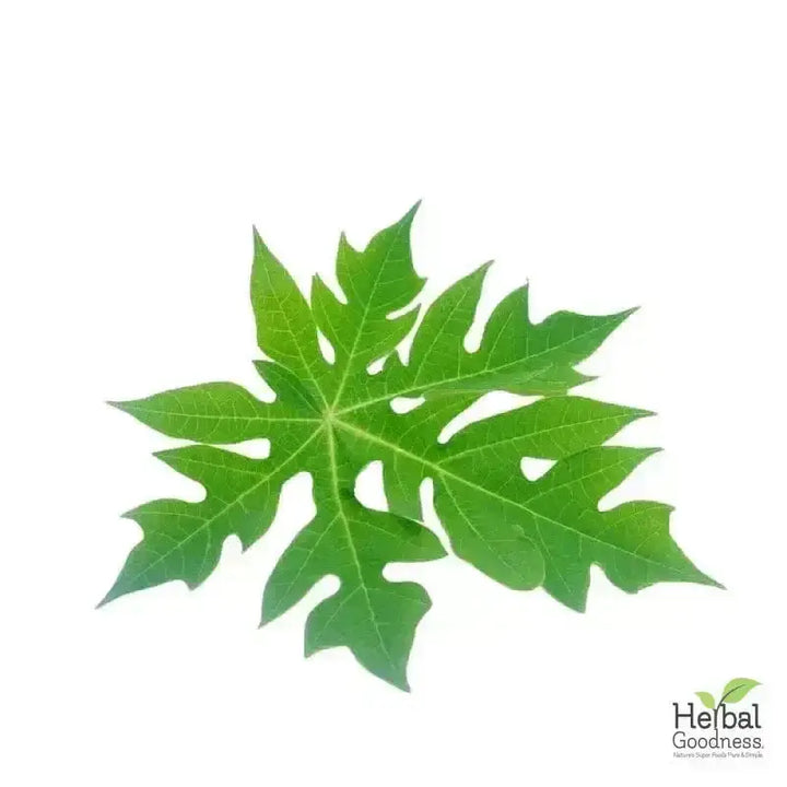 Bulk Herbs &amp; Roots - Organic 4oz Bags - Herbal Tea Bulk Herb Herbal Goodness Papaya Leaf 