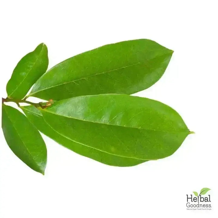 Bulk Herbs &amp; Roots - Organic 4oz Bags - Herbal Tea Bulk Herb Herbal Goodness Elder Flower 