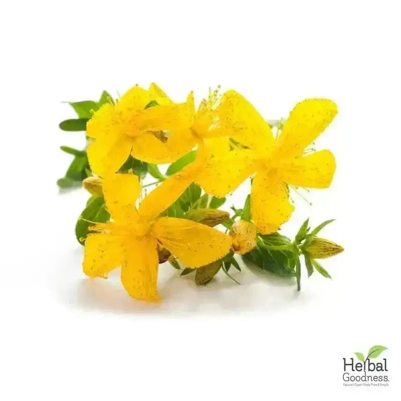 Bulk Herbs &amp; Roots - Organic 4oz Bags - Herbal Tea Bulk Herb Herbal Goodness 