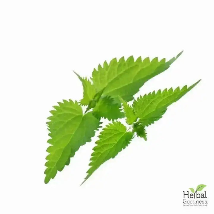 Bulk Herbs &amp; Roots - Organic 4oz Bags - Herbal Tea Bulk Herb Herbal Goodness 