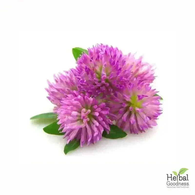Bulk Herbs &amp; Roots - Organic 4oz Bags - Herbal Tea Bulk Herb Herbal Goodness Red Clover 