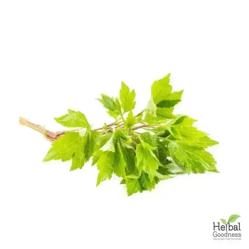 Bulk Herbs &amp; Roots - Organic 4oz Bags - Herbal Tea Bulk Herb Herbal Goodness Mugwort Leaf 