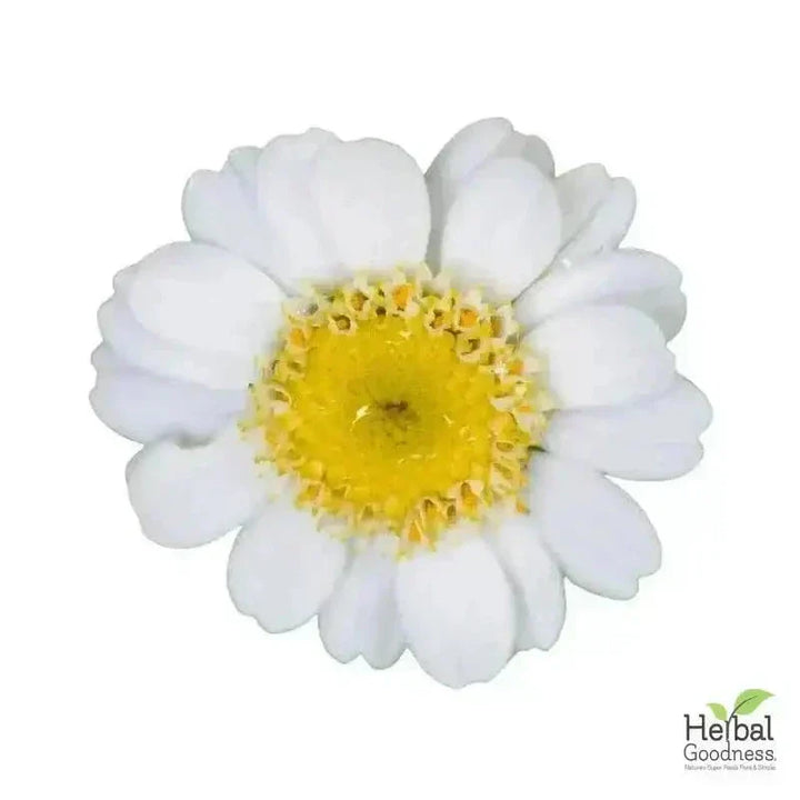 Bulk Herbs & Roots Online for Tea, Tinctures & DIY Wellness - Organic 4oz Bags Bulk Herb Herbal Goodness Feverfew Leaf 