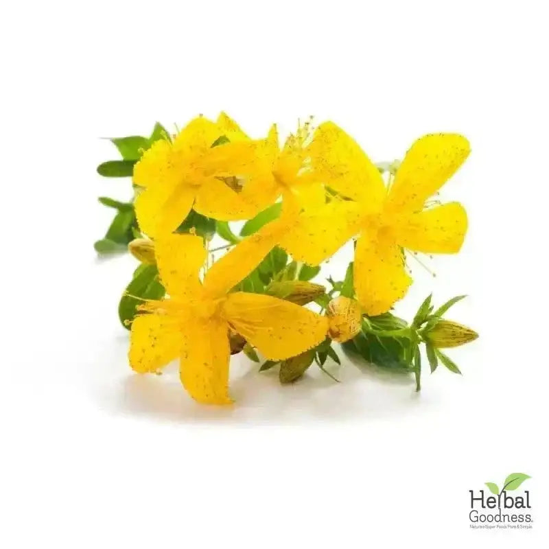 Bulk Herbs &amp; Roots - Organic 4oz Bags - Herbal Tea Bulk Herb Herbal Goodness Chamomile Flower 