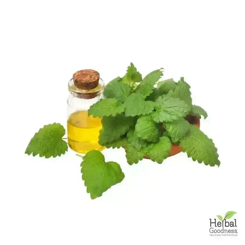 Bulk Herbs &amp; Roots - Organic 4oz Bags - Herbal Tea Bulk Herb Herbal Goodness Lemon Balm 