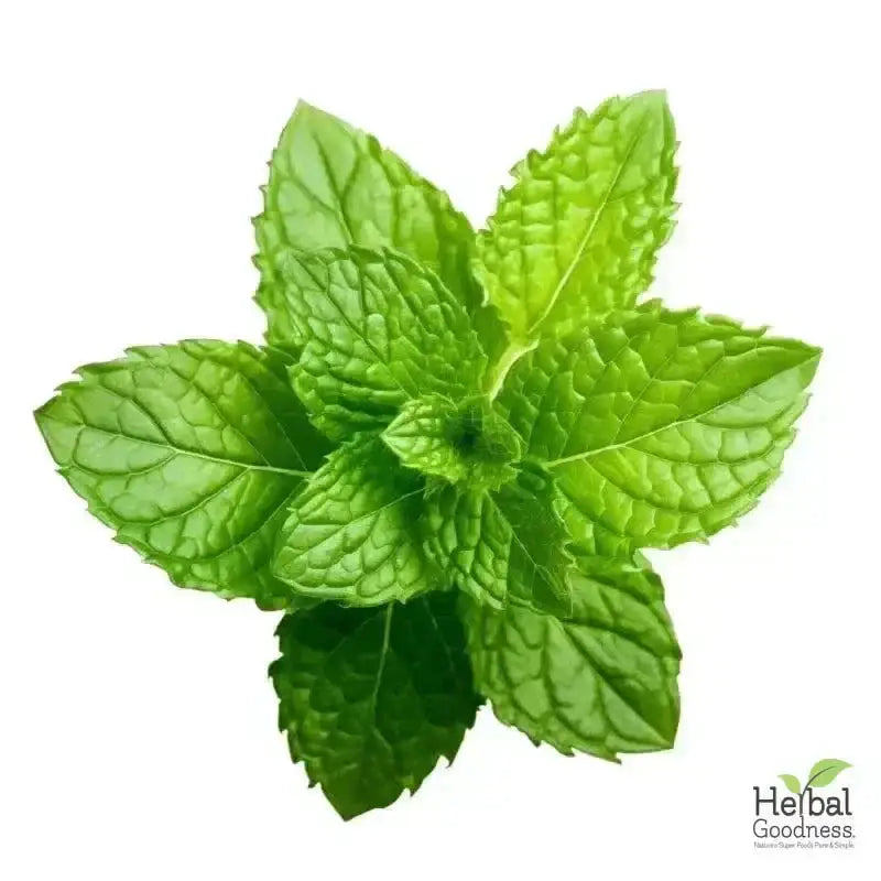 Bulk Herbs &amp; Roots - Organic 4oz Bags - Herbal Tea Bulk Herb Herbal Goodness 