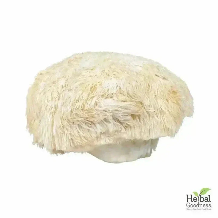 Bulk Herbs & Roots Online for Tea, Tinctures & DIY Wellness - Organic 4oz Bags Bulk Herb Herbal Goodness 