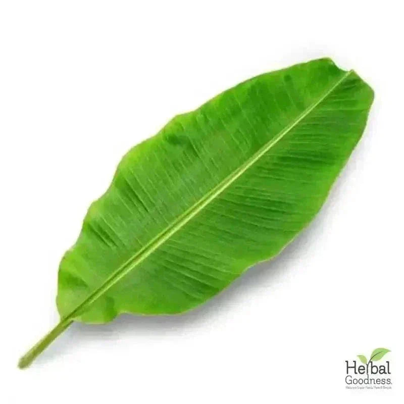Bulk Herbs & Roots Online for Tea, Tinctures & DIY Wellness - Organic 4oz Bags Bulk Herb Herbal Goodness Plantain Leaf 