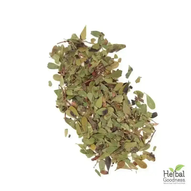 Bulk Herbs &amp; Roots - Organic 4oz Bags - Herbal Tea Bulk Herb Herbal Goodness Olive Leaf 