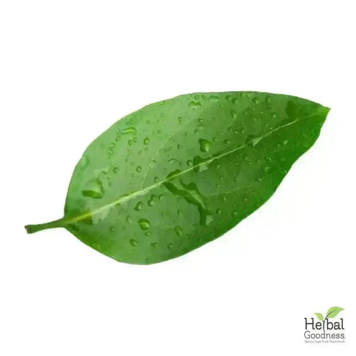 Bulk Herbs & Roots Online for Tea, Tinctures & DIY Wellness - Organic 4oz Bags Bulk Herb Herbal Goodness Guayusa Leaf 