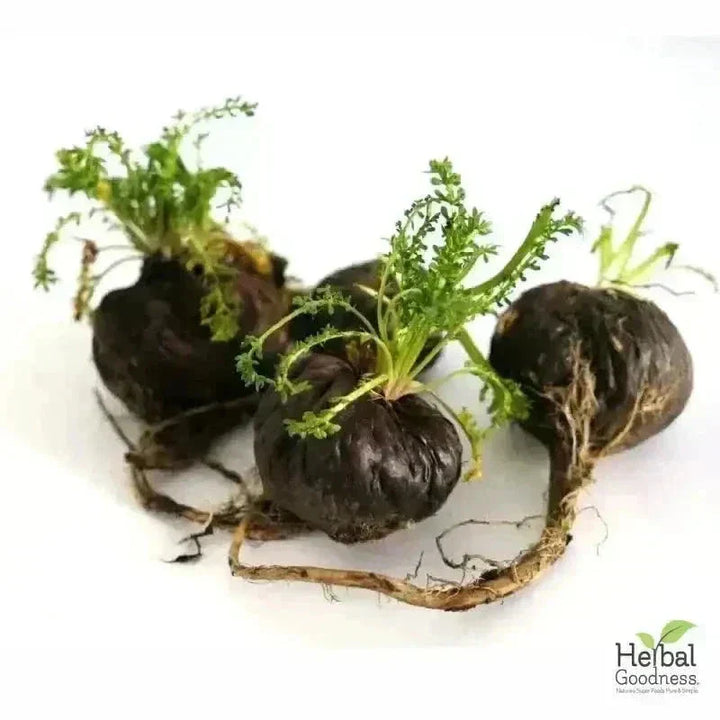 Bulk Herbs & Roots Online for Tea, Tinctures & DIY Wellness - Organic 4oz Bags Bulk Herb Herbal Goodness 
