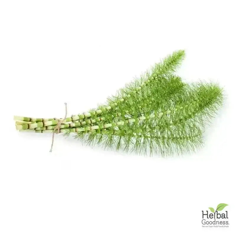 Bulk Herbs &amp; Roots - Organic 4oz Bags - Herbal Tea Bulk Herb Herbal Goodness 