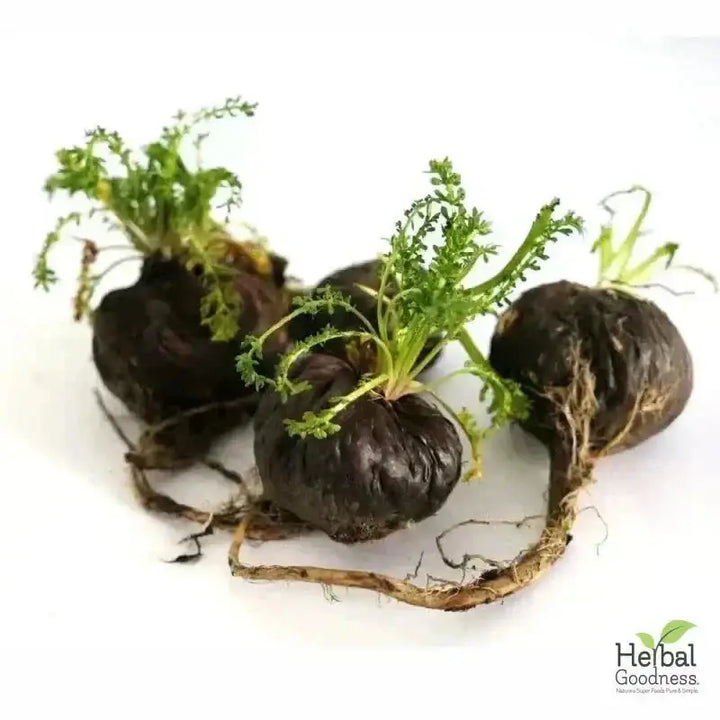 Bulk Herbs &amp; Roots - Organic 4oz Bags - Herbal Tea Bulk Herb Herbal Goodness Maca (black &amp; red) Root 