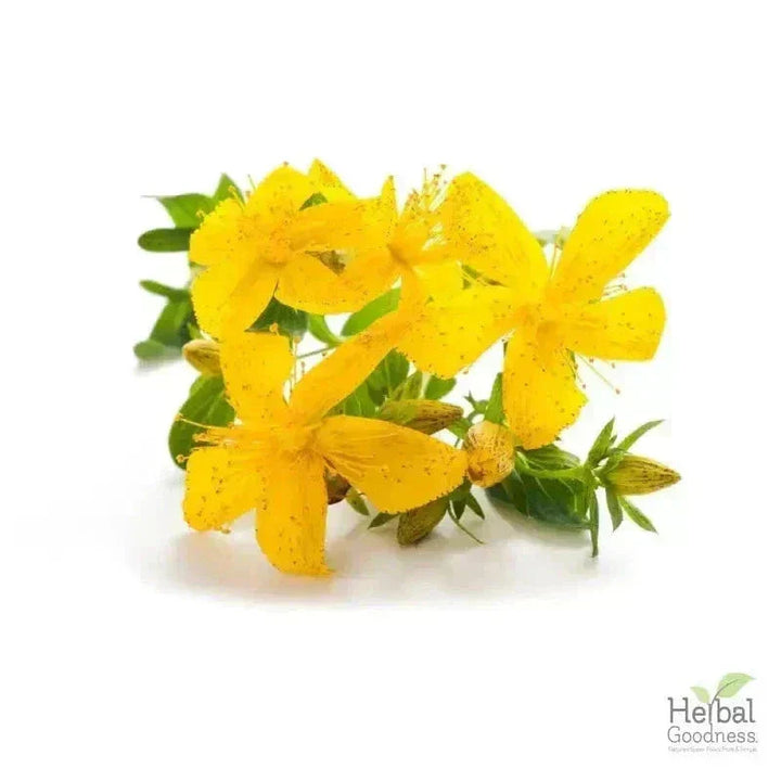 Bulk Herbs & Roots - Organic 4oz Bags - Herbal Tea Bulk Herb Herbal Goodness Chamomile Flower 