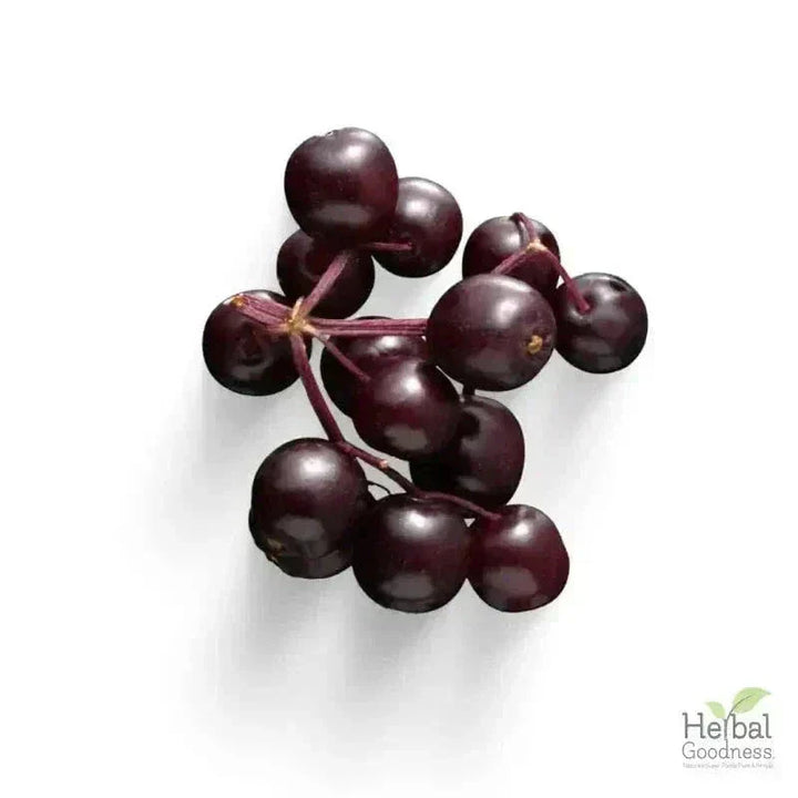 Bulk Herbs & Roots - Organic 4oz Bags - Herbal Tea Bulk Herb Herbal Goodness Elderberry Leaf 