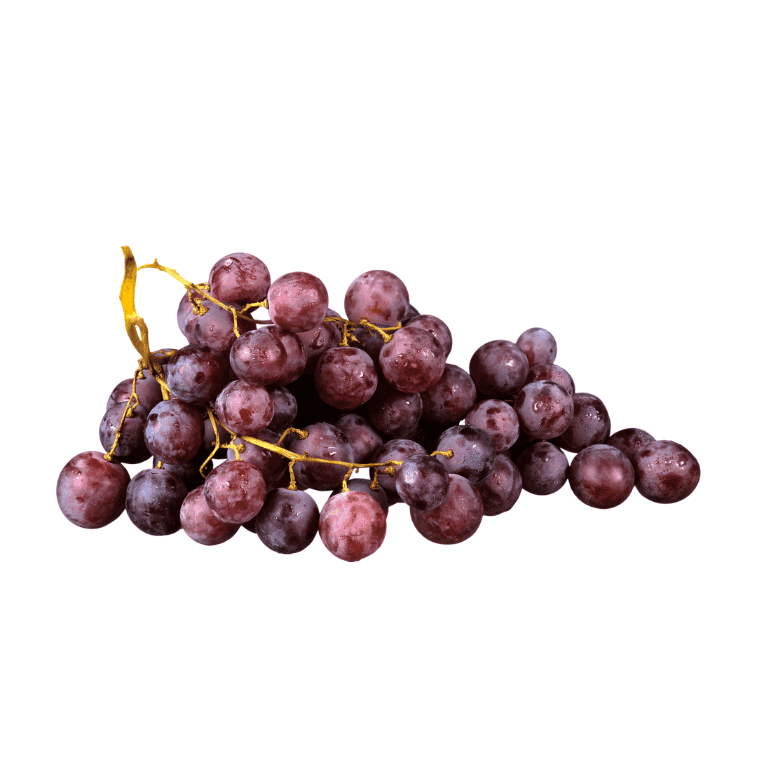 Bulk Herbs & Roots - Organic 4oz Bags - Herbal Tea Bulk Herb Herbal Goodness 