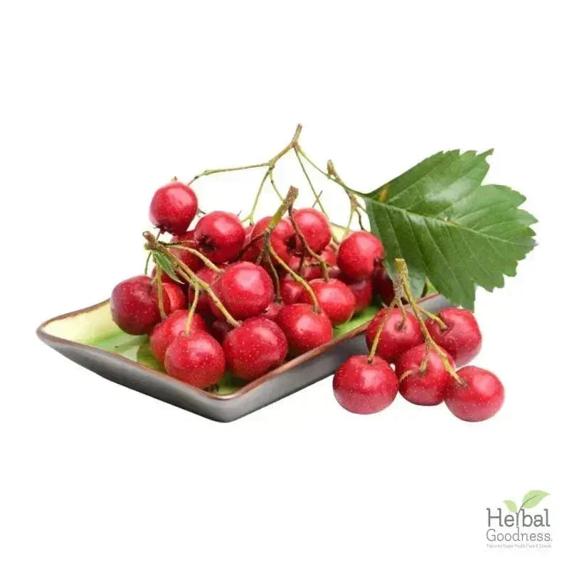 Bulk Herbs & Roots - 4oz Organic bulk teas for digestion, energy, detox Bulk Herb Herbal Goodness 