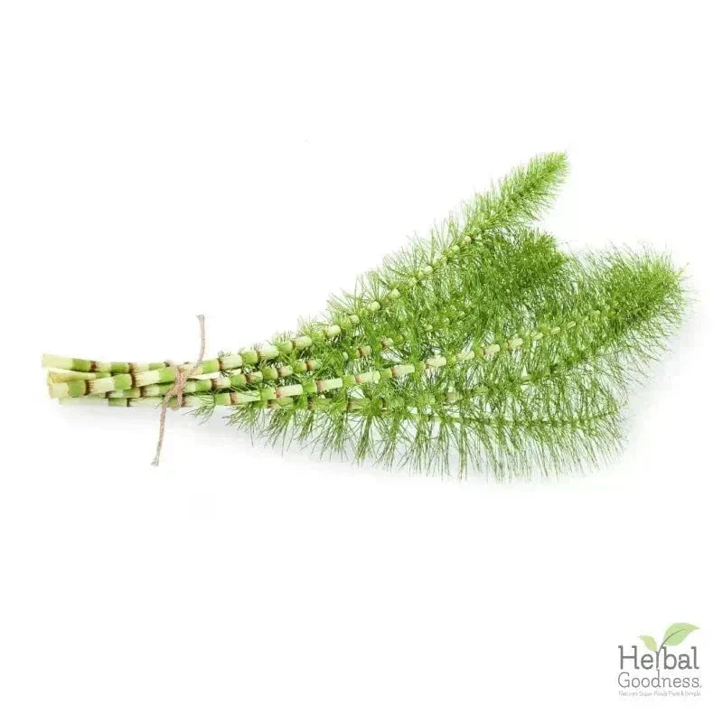 Bulk Herbs & Roots - 4oz Organic bulk teas for digestion, energy, detox Bulk Herb Herbal Goodness Horsetail Leaf 