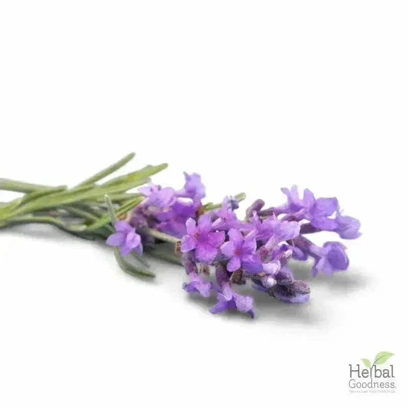 Bulk Herbs & Roots - Organic 4oz Bags - Herbal Tea Bulk Herb Herbal Goodness Lavender Flower 