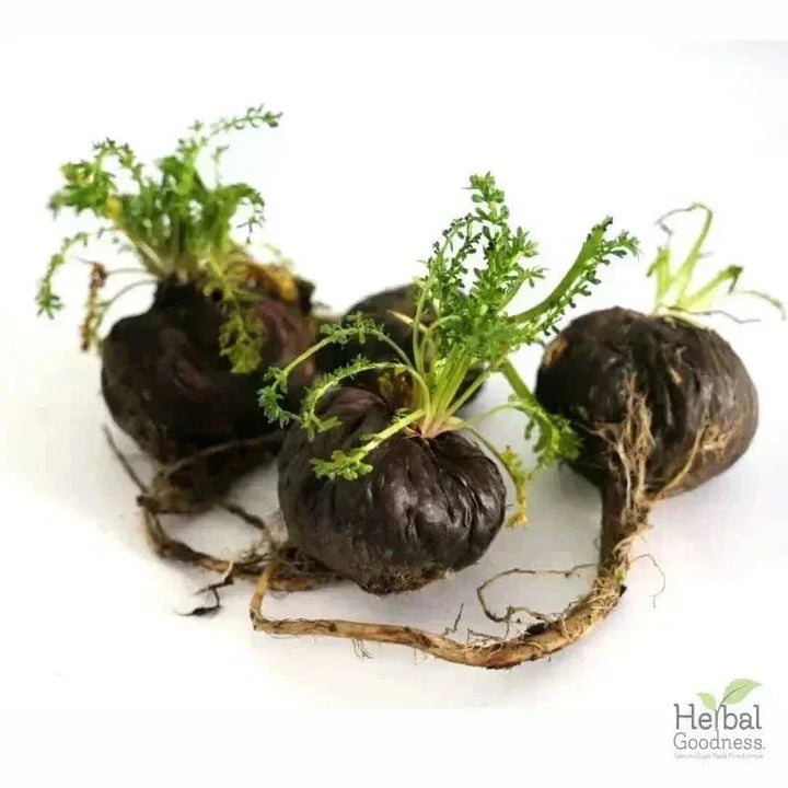 Bulk Herbs & Roots - Organic 4oz Bags - Herbal Tea Bulk Herb Herbal Goodness Maca (black & red) Root 