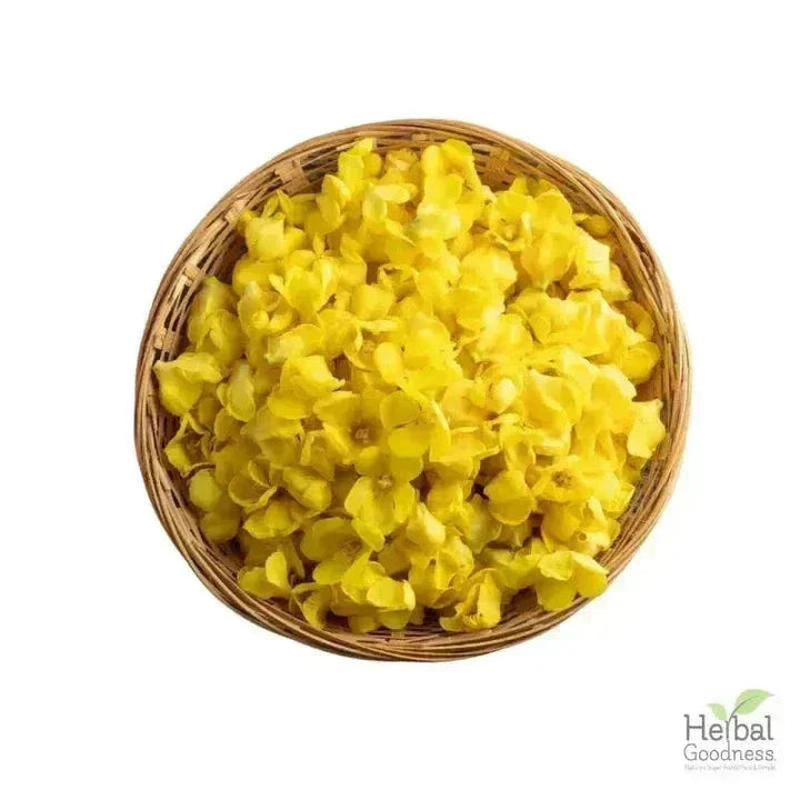 Bulk Herbs & Roots - Organic 4oz Bags - Herbal Tea Bulk Herb Herbal Goodness Mullein Leaf 