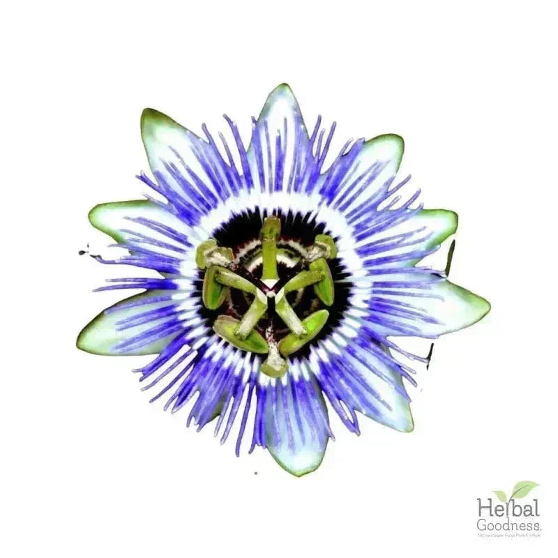 Bulk Herbs & Roots - Organic 4oz Bags - Herbal Tea Bulk Herb Herbal Goodness Passion Flower 