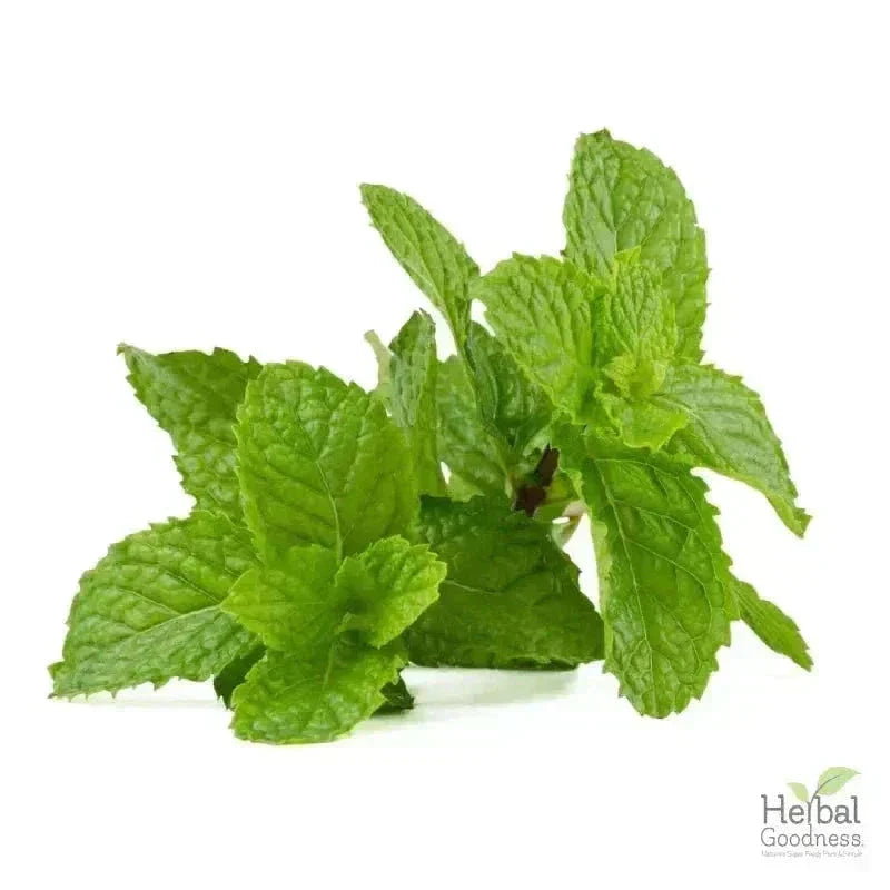 Bulk Herbs & Roots - Organic 4oz Bags - Herbal Tea Bulk Herb Herbal Goodness Peppermint Leaf 