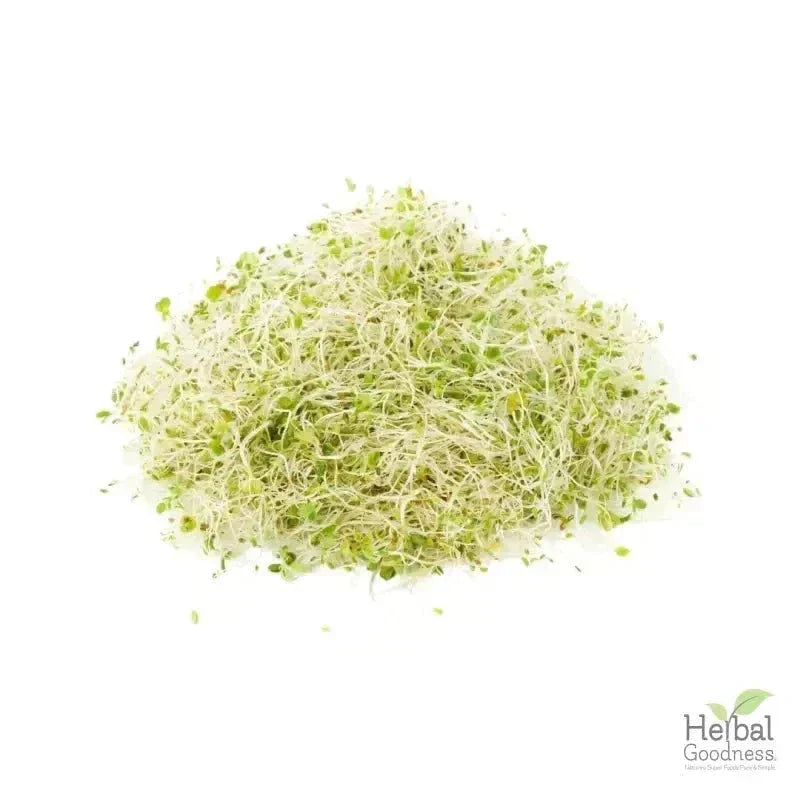 Bulk Herbs & Roots - 4oz Organic bulk teas for digestion, energy, detox Bulk Herb Herbal Goodness Alfalfa Leaf 