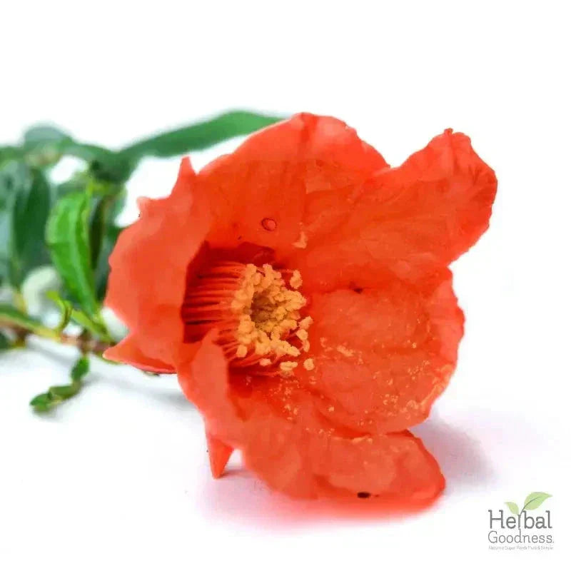 Bulk Herbs & Roots - 4oz Organic bulk teas for digestion, energy, detox Bulk Herb Herbal Goodness Pomegranate Flower 