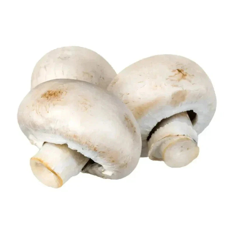 Bulk Mushroom Powders 4oz | Powerful Adaptogens for Immune & Cognitive Support Powder Herbal Goodness 