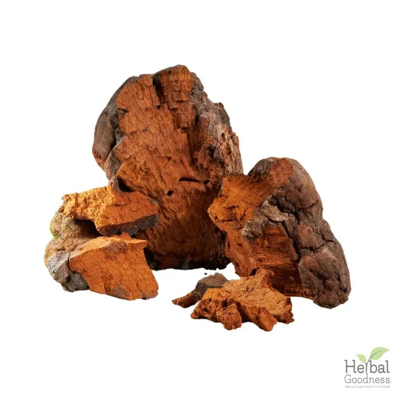 Bulk Mushroom Powders 4oz | Powerful Adaptogens for Immune & Cognitive Support Powder Herbal Goodness 