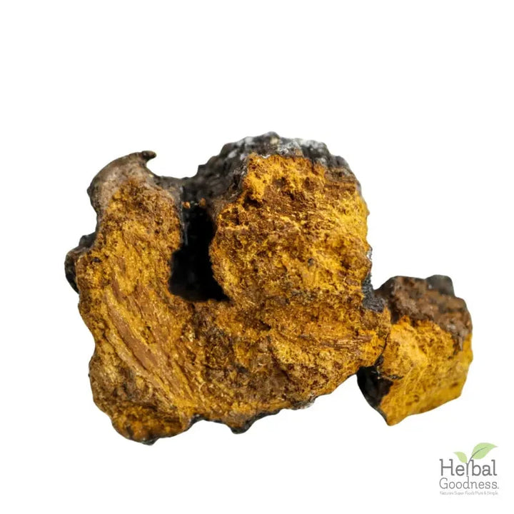 Bulk Mushroom Powders 4oz | Powerful Adaptogens for Immune & Cognitive Support Powder Herbal Goodness Chaga 