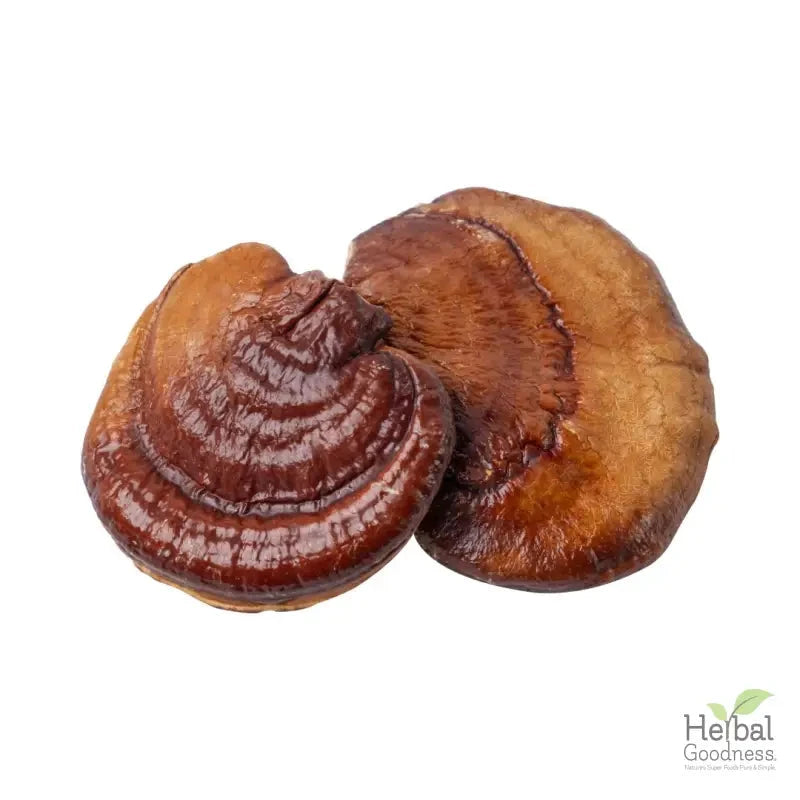 Bulk Mushroom Powders 4oz | Powerful Adaptogens for Immune & Cognitive Support Powder Herbal Goodness Reishi 