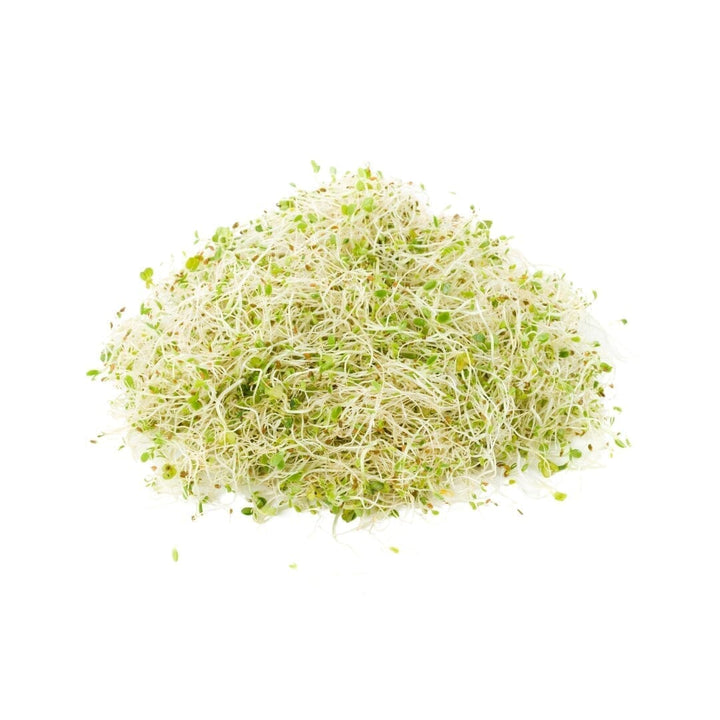 Bulk Premium Herbs & Powder Bulk Herb Herbal Goodness Alfalfa Leaf 8oz 