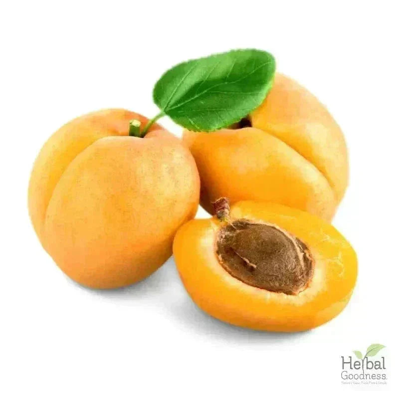 Bulk Seeds 4oz - Rich in Natural Omega 3, 6 & 9 Bulk Herb Herbal Goodness Apricot Kernel Seed 4oz 