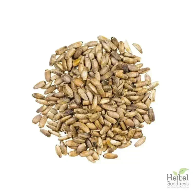 Bulk Seeds 4oz - Rich in Natural Omega 3, 6 & 9 Bulk Herb Herbal Goodness Milk Thistle Seed 4oz 